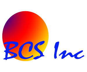 Benedetti Construction Service Inc.'s Logo